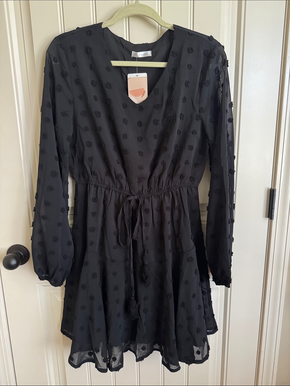 NWT! Black Swiss Dot V-Neck Mini Dress